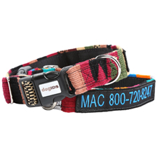 ecommerce-collars